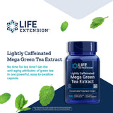 Life Extension Lightly Caffeinated Mega Green Tea Extract - 98% EGCG Polyphenols Supplement for Heart and Brain Health Support for Men and Women - Gluten Free, Non-GMO, Vegetarian - 100 Count