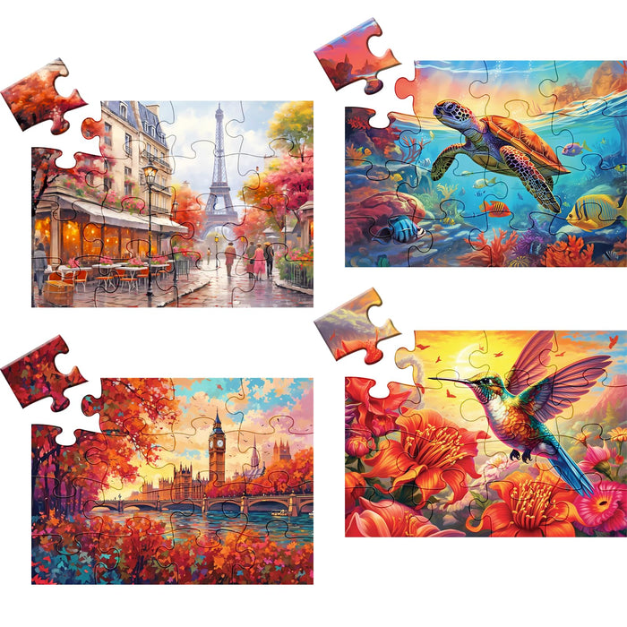 4 Pack 24 Large Piece Puzzle for Seniors, Alzheimer's Cognitive Jigsaw Puzzles for Elderly, for Dementia Easy Fun Puzzles Memory Game with 4 Storage Bags