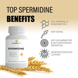 The Supermom Company Spermidine 60 Vegetable Capsules - Wheat Germ Extract with 1000 mg Spermidine Supplement, Bioperine for Maximum Absorption (1 Bottle)