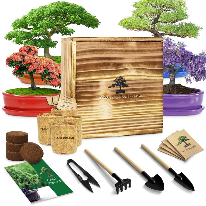 LUOJIBIE Bonsai Tree Starter Kit for Beginners - Indoor Live Plant Gardening Adult Craft DIY Kits - Unique Christmas, Birthday, White Elephant Gifts for Women, Men, Boys & Girls