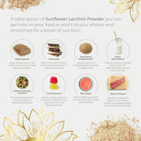 Pure Sunflower Lecithin Powder