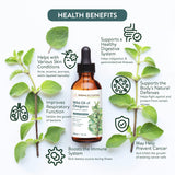 30ml Oregano Oil 100% Pure & Undiluted Min 92% Carvacrol Super-Strength Himalayan Essential Oil of Oregano (Origanum Vulgare) Highly Potent Immunity Booster for Cold, Cough, Sore Throat & Gut Health