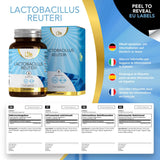 LN Lactobacillus Reuteri | 90 Lactobacillus Reuteri Probiotic Capsules - 5 Billion CFU L Reuteri per Serving | High Strength L-Reuteri Supplement | Non-GMO, Gluten & Allergen Free | Made in The UK