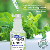 Mighty Mint All-Purpose Cleaner, Non-Toxic Spray for Home, Kitchen, Bathroom, Natural Peppermint Scent, 16oz