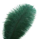 Ballinger Blackish Green Ostrich Feathers Bulk- 24pcs 10-12inch for Wedding Party Centerpieces Christmas Decor