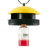 Terro T514 Fruit Wasp & Fly Trap, 6 Pack, Clear