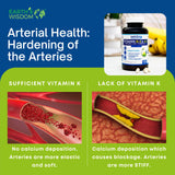 Earth's Wisdom Vitamin D3 5000 IU with K2 (MK7) Formula. Muscle, Bone, Heart & Immune Support. Superior Absorption. 120 Capsules. Free from Gluten, Dairy, Soy. Non-GMO. Manufactured in USA.