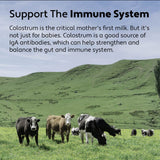 Four Leaf Rover: Bovine Colostrum from New Zealand Grass-Fed Cows - Dog Itch Relief and Immune Support (60-Day Supply)