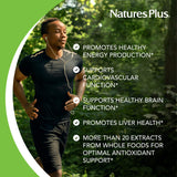 Natures Plus Source of Life Garden Certified Organic B Complex - 60 Vegan Capsules - Complete Vitamin B Supplement, Energy Booster - Vegetarian, Gluten-Free - 30 Servings