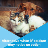 Calcium Now - Oral Calcium for Whelping Dogs - Dog & Cat Calcium Supplement Paste - Lots of Love (Vanilla, 30 ml Paste) (Pack of 2)