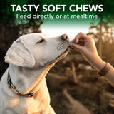 Vet's Best Seasonal Allergy Soft Chew Dog Supplements | Soothes Dogs Skin Irritation Due to Seasonal Allergies | Maintain Histamine Levels | 90 Day Supply