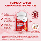 Astaxanthin Supplements 24mg, 5 Month Supply - Coconut MCT Oil, Fresh Microalgae Source w/Grape Seed Oil, Ashwagandha - Antioxidants for Healthy Skin, Eyes, Joints, Non-GMO & Gluten Free, 150 Softgels