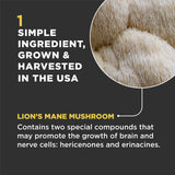 Super Snouts Lion's Roar Lion's Mane Mushroom Supplement for Dogs and Cats, 2.64oz - Made in USA Organic Lions Mane for Cognitive Function and Brain Health