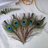 THARAHT 60pcs Peacock Feather Natural in Bulk 10-12 inch 25-30cm for Craft Vase Wedding Home Party Christmas Day Decoration Peacock Feathers