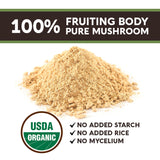 Longevity Botanicals Organic Lions Mane Mushroom Powder - Ultra Concentrated Lions Mane Mushroom Supplement - Promotes Mental Clarity, Focus and Memory - 100% Fruiting Body - 100 grams