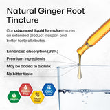 Ginger Root Tincture - Organic Ginger Root Extract - Natural Ginger Supplements for Overall Wellness - Alcohol and Sugar Free - Vegan Drops 4 Fl.Oz.