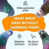 Petslandia Bird Deterrent System - Polycarbonate UV Resistant Pigeon Deterrent, Cruelty-Free Pigeon Proof, Long Lasting, Suitable for Balconies, Patios and Outdoors (78 in)