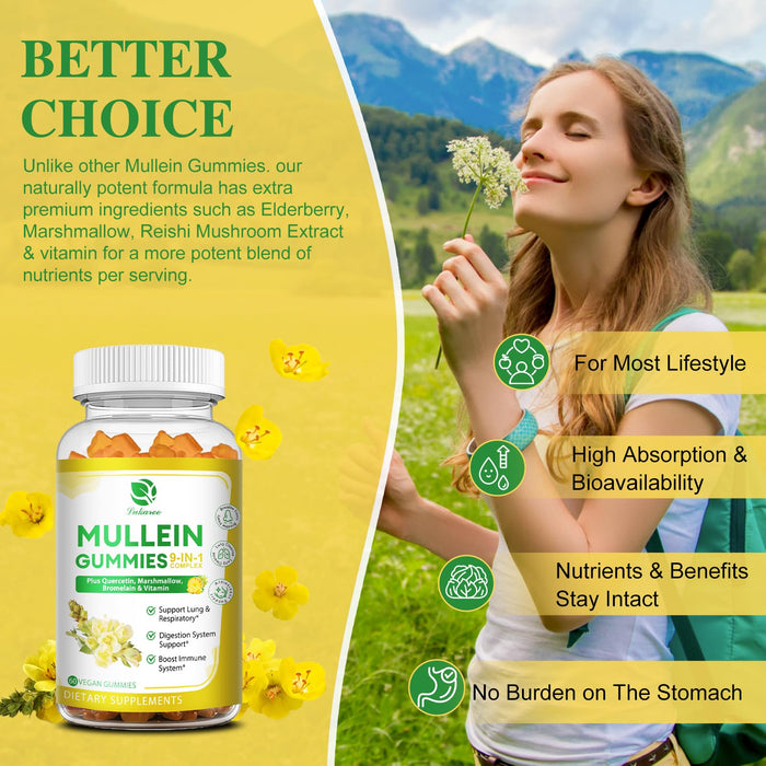 (2 Pack) 9 in 1 Mullein Gummies for Lung Cleanse, Extra Strength 10000 MG(10:1 Extract) Mullein Leaf Extract w/Quercetin, Bromelain, Elderberry & Marshmallow for Respiratory, Immune, Vegan,120 Count