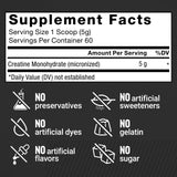 FORCE FACTOR Creatine Monohydrate, Creatine Powder for Muscle Gain, More Strength, and Faster Workout Recovery, Clinically Studied Micronized Creatine 5g Dose Per Serving, Unflavored, 60 Servings