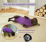 Wabdhaly Female Dog Recovery Suit Purple,Spay Large Onesie Suit,Male Surgery Recovery Suit,Blank Purple Large