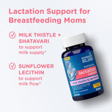 Mommy's Bliss Postnatal Lactation Support, Contains Milk Thistle, Shatavari, and Lecithin, 1 Bottle (60 Capsules)