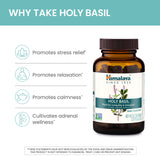 Himalaya Holy Basil Tulsi Herbal Supplement, Stress Relief, Relaxation, Occasional Sleeplessness, Promotes Calm, Energy Support, Ayurvedic, Non-GMO, Vegan, 720 mg, 60 Capsules, 30 Day Supply