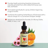 CHILDLIFE ESSENTIALS Liquid Echinacea for Kids - Immune Booster for Kids, All-Natural, Infant & Toddler Echinacea Drops, Gluten-Free, Allergen-Free, Natural Orange Flavor, 1-Ounce Bottle