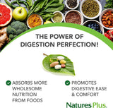 Natures Plus GI Natural Drink Powder - 6.14 Ounce, Vegetarian Powder - Dietary Supplement for Total Digestive Wellness - Probiotics, Prebiotics, Enzymes - Gluten-Free - 30 Servings