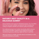 Probiotic Cranberry Gummies for Women | UTI Gummies Vaginal Probiotics with 1 Billion CFU | Cranberry Gummies Urinary Tract Health for Women pH Balance | Cran-Raspberry Flavor | 60 Cranberry Gummies