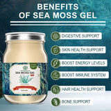 NourishLife 18 oz Natural sea Moss Gel, Rich in 92 Minerals, Proteins, and Vitamins, Immune & Digestive Support, Powerful Antioxidant Supplement, Original sea Moss Gel, 1 Bottle