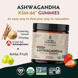 Ashwagandha KSM-66 Gummies for Adults - Pure Organic Root Extract Ayurvedic Supplement Gummy for Men & Women, Focus Mood Support Increase Energy Strength 600mg of Natural KSM66 for Superior Absorption