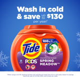 Tide Pods Liquid Laundry Detergent Pacs, Spring Meadow, 42 Count (Pack of 4)