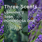 4 Pack Candles for Home Scented, Lavender Candles, 4x6.3 oz 4x50 Hour Long Lasting Aromatherapy Jar Candles Natural Soy Wax Relaxing Candle, Candles Gifts for Women (Lavender *2 &Sage &Jackson)