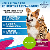 Cat & Dog Urinary Tract Infection Treatment & Natural UTI Medicine Cranberry-Kidney+Bladder Support Supplement - Best Prevention Incontinence, Bladder Stones - Pet Renal Health & UTI Care Drops