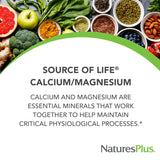 NaturesPlus Cal/Mag - 500 mg Calcium, 250 mg Magnesium, 180 Vegetarian Capsules - Gluten-Free - 90 Servings