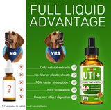 Cat UTI & Dog UTI Treatment ✿ Kidney Support for Cats ✿ Dog UTI ✿ Cat Urinary Tract Infection Treatment ✿ Kidney Support for Dogs ✿ Dog Urinary Tract Infection Treatment ✿ Made in USA ✿ 2 Oz