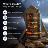 Be Bodywise Pure Himalayan Shilajit Gummies Gold I Lab Tested I No Added Sugar I Ashwagandha, Gokshura| Fulvic Acid & 85+ Trace Minerals I for Men, Women I Non-GMO I 100% Natural & Organic I 60 Gummy