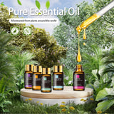 MAYJAM Essential Oil Set, 35PCS Premium Essential Oils Kit, 5ML Essential Oils Fragrance Oil Scent for DIY Candle and Soap Making