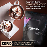 Livingood Daily Chocolate Collagen Powder - Hydrolyzed Collagen Peptides Powder Plus Vitamin C - Complete Protein with 20 Amino Acids - Type I & III, Grass-Fed, Keto, Paleo - 30 Servings, 12.3oz