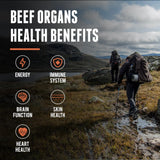 One Earth Health New Zealand 100% Grass Fed Beef Organs – (200 Count, 3,000mg Serving) Liver, Heart, Kidney, Pancreas, Spleen Supplement. Organ Meat Complex sourced from New Zealand