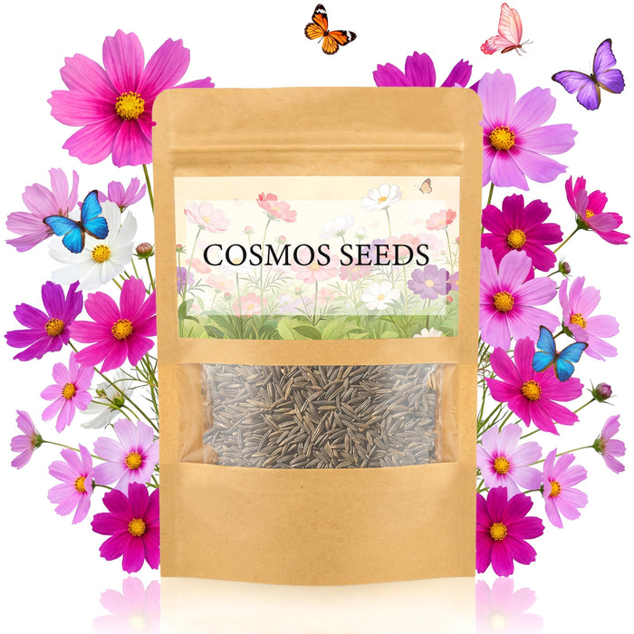 LUOJIBIE Cosmos Seeds, 10,000+ Cosmos Flower Seeds for 2026, Wildflower Seeds for Planting Outdoor Garden, Crazy Blend Mix Color, No Filler, 3 Oz Packet, Easy to Grow