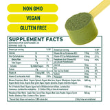 8Greens Super Greens Powder - Prebiotic & Probiotic Blend Superfoods with Fiber, Supports Digestion & Debloating, Tasty 8 Real Greens Juice Mix with Spirulina, Chlorella & Blue Green Algae