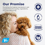 Vetnique Labs Profivex Probiotics for Dogs All Natural Dog Chews & Powder for Digestive Health Probiotic Supplements for Dogs 5 Strains of Probiotics & Prebiotics (Powder, 4.25oz)