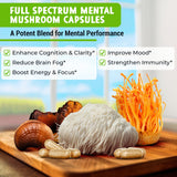 MENTAL Mushroom Capsules, Organic Extract Supplement w/ Lion's Mane, Cordyceps, Reishi and Chaga, Boost Your Focus, Energy, Wellness and Immune System - Nootropic Mushrooms, Immune Support 90ct