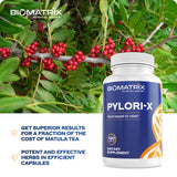 Pylori-X for H. Pylori Defense | Matula Tea Alternative w/Mastic Gum, Berberine, Zinc Carnosine, Bismuth Salts | Microbiome Balance, Digestive Relief (120 Capsules)