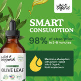 Wild & Organic Olive Leaf Liquid Extract - Olive Leaf Supplement for Immune Support - Vegan, Alcohol Free Tincture - 4 fl oz