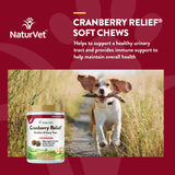 NaturVet – Cranberry Relief Plus Echinacea – Helps Support a Healthy Urinary Tract & Immune System – 120 Soft Chews