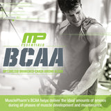 MusclePharm Essentials BCAA Powder, Pre & Post Workout Recovery Drink, Supports Muscle Recovery & Energy, Essential Amino Acids, 30 Serv, Fruit Punch