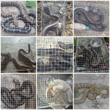 AmazingTraps The Amazing Humane Snake Trap - Catches and Release All Kinds of Snakes - Reusable!