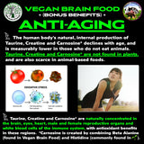 Vegan Brain & Body Boost: The Cherry On Top of A Plant-Based Lifestyle | Working Intelligence | Anti-Aging | Physical Fitness | Vegan Amino Acids - Creatine, Taurine & Beta Alanine | 67 Servings/500g